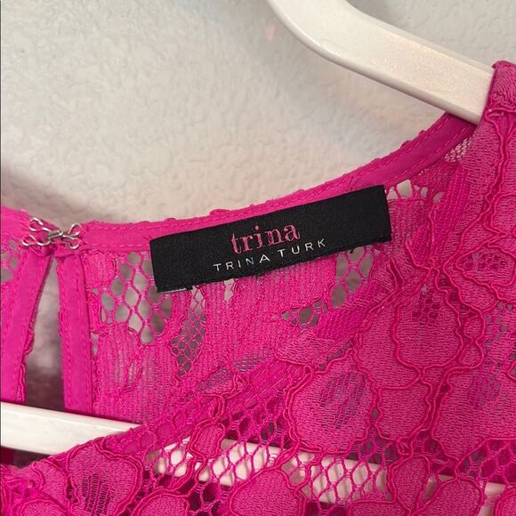 Trina Turk Vintage Lace Sheath Dress-Small. B81 - Picture 3 of 6